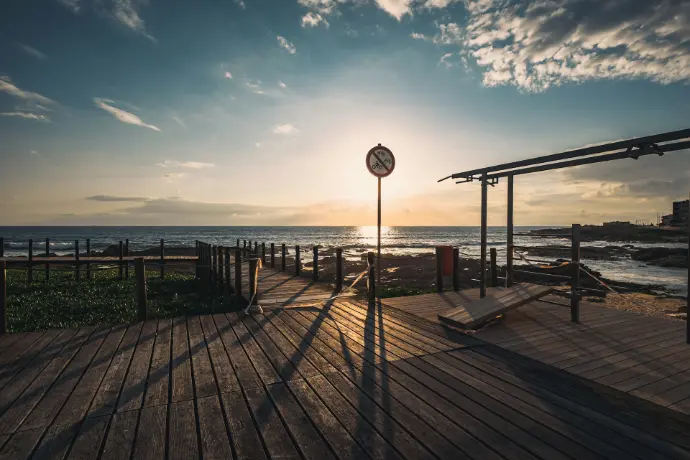 brown wooden dock near body of water during daytime